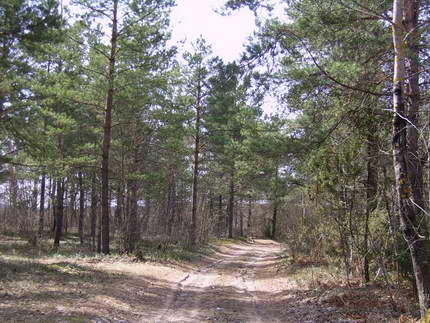 Biruli. Landscapes 