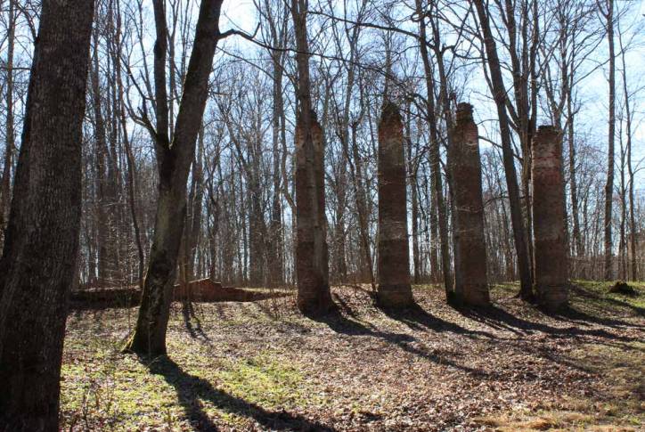  - Сядзібна-паркавы ансамбль Дамейкаў. Колонны усадебного дома (фасад)
