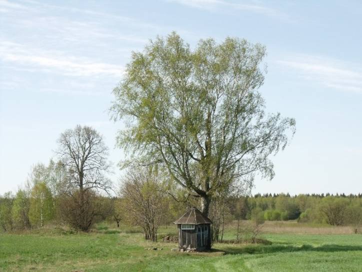 Vałasatka. Landscapes 