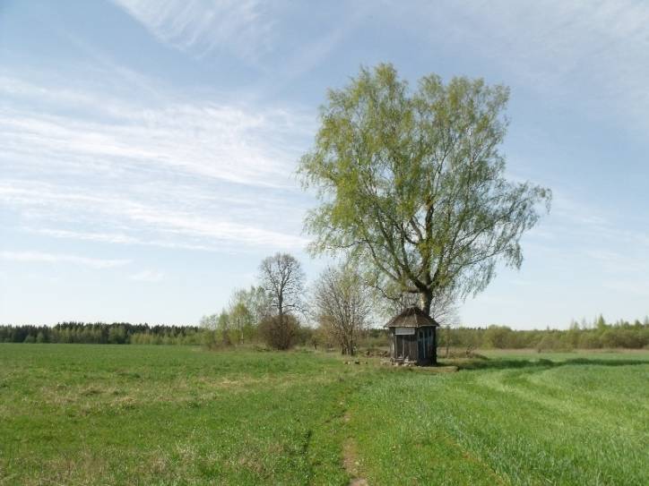 Vałasatka. Landscapes 