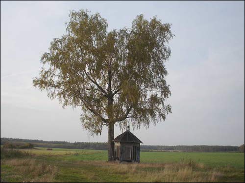 Vałasatka. Landscapes 