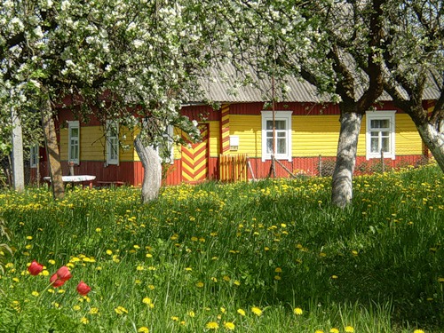 Vaŭkałata. In the village