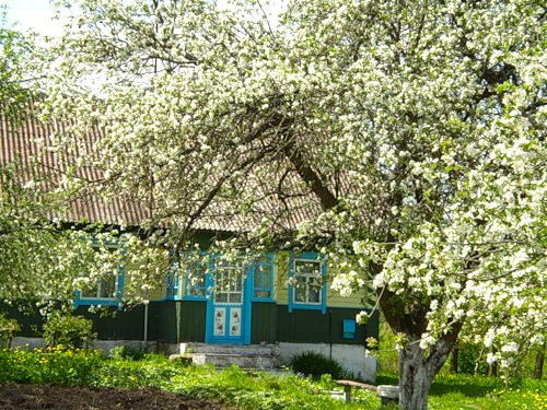 Vaŭkałata. In the village
