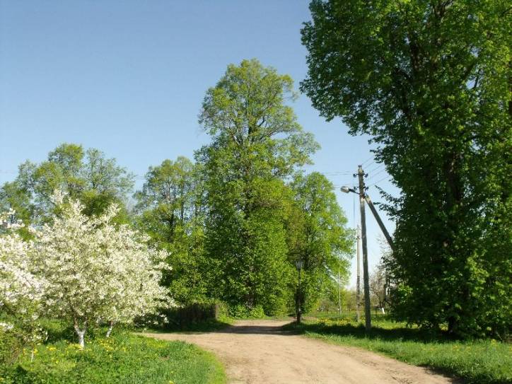 Manor park  .   - Manor park .