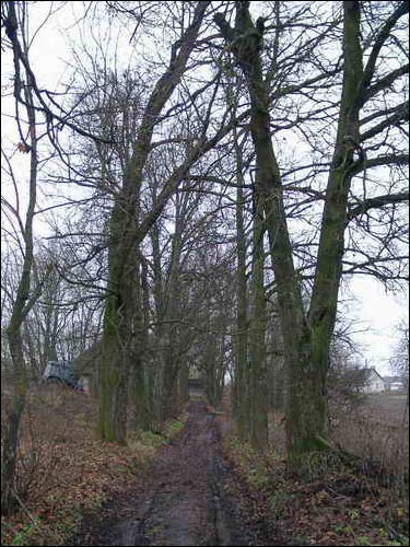  - Manor park . 