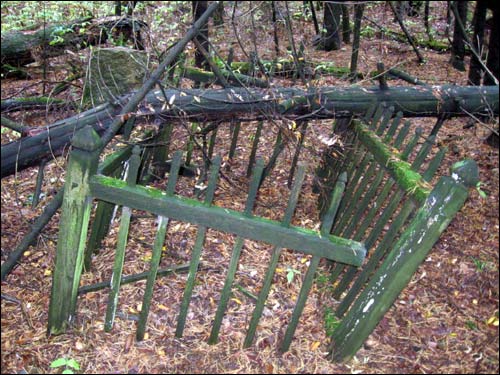 Вилейка. Кладбище старое