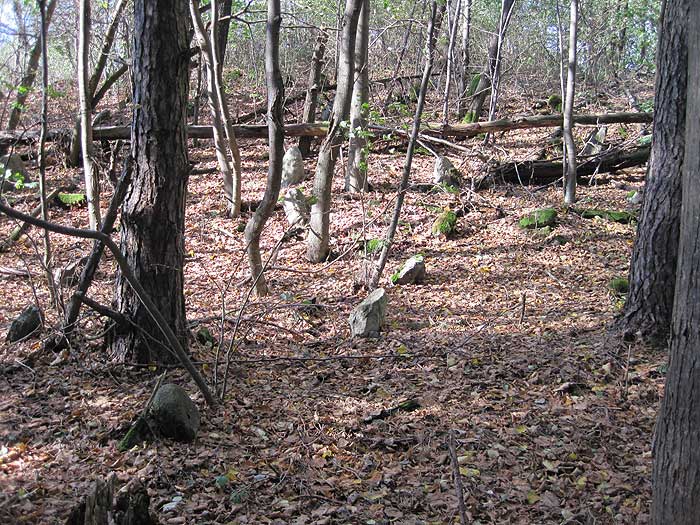 Vituničy. cemetery old