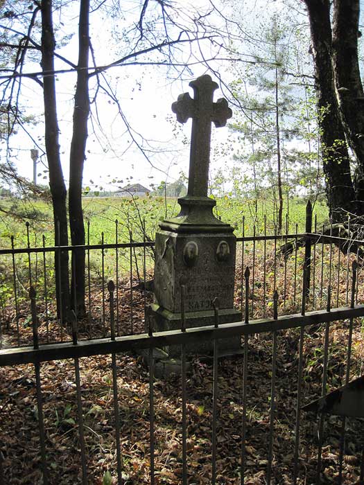 Vituničy. cemetery old
