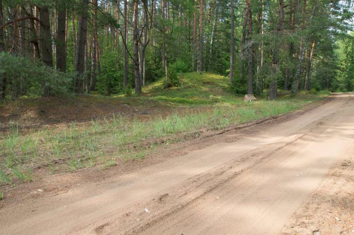 Bobrujszczyzna. We wsi 