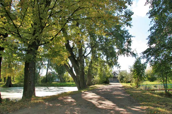  - Manor of Opacki. 