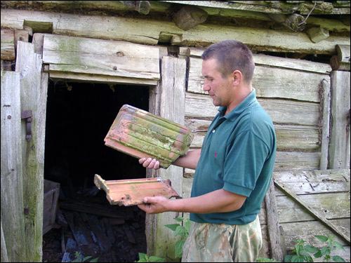 Дерковщина. Приусадебный парк при бывшей усадьбе Домейко