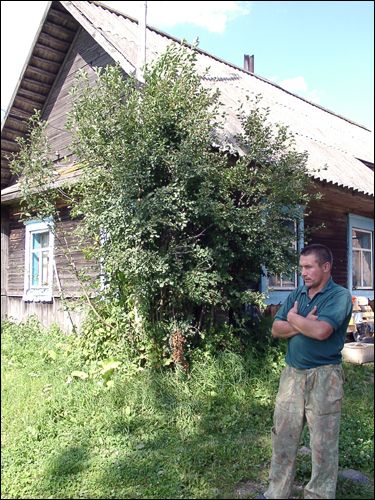  - Приусадебный парк при бывшей усадьбе Домейко. 