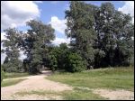 Дерковщина.  Приусадебный парк при бывшей усадьбе Домейко
