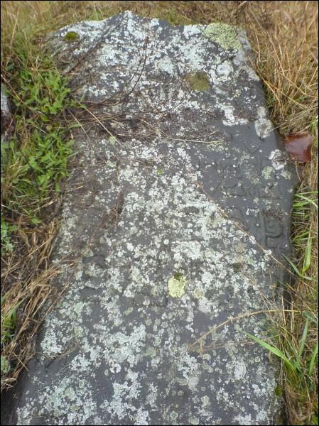 Глубокое. Кладбище еврейское