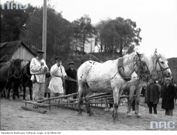 Глыбокае. Горад на старых фотаздымках 