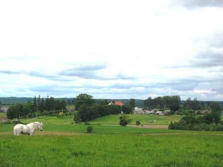 Mosar. Landscapes 
