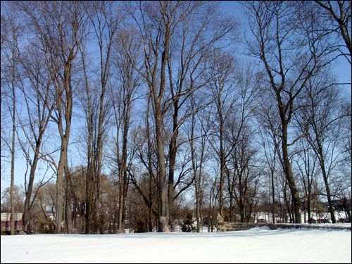 Mosarz. Folwark Piłsudskich