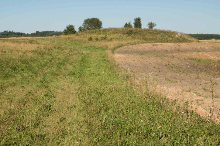 Подсвилье. В местечке 
