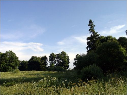 Patupy. Manor park 