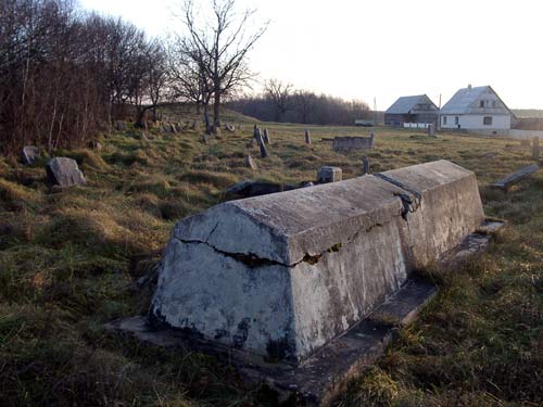 Plisa. Cmentarz żydowski