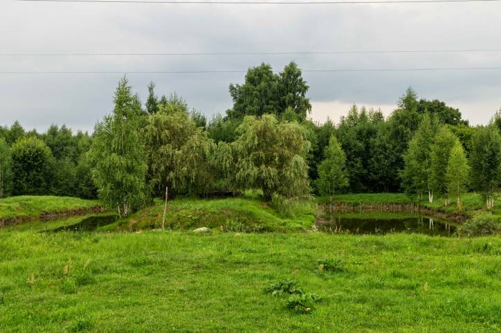 Psuja. Landscapes 