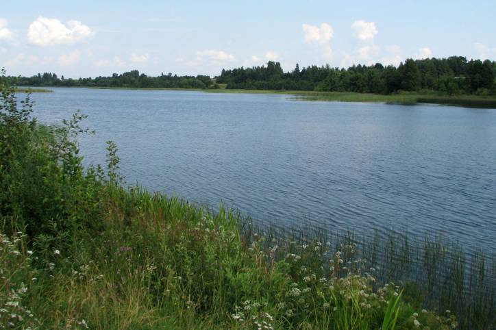 Psuja. Landscapes 