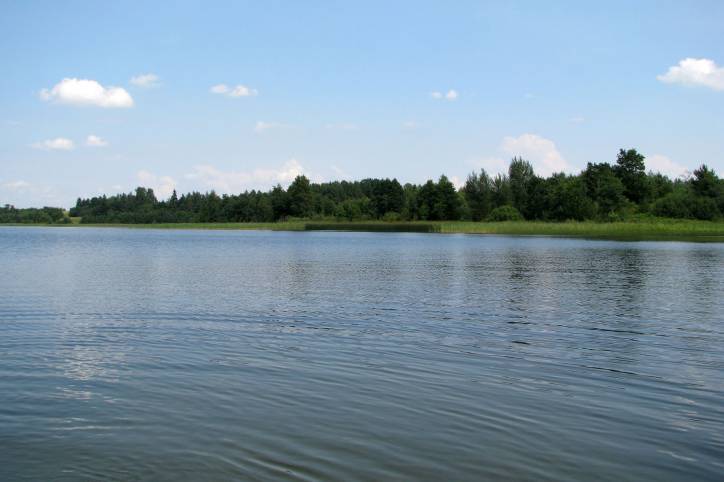 Psuja. Landscapes 