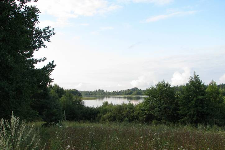 Psuja. Landscapes 