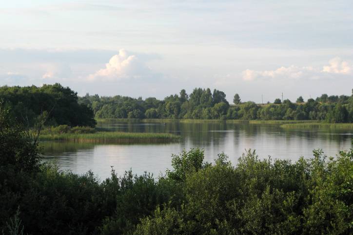 Psuja. Landscapes 