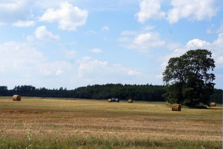Psuja. Landscapes 