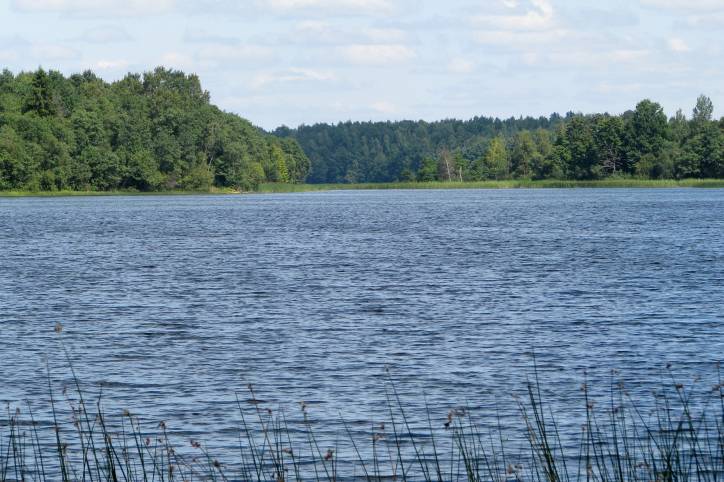 Psuja. Landscapes 