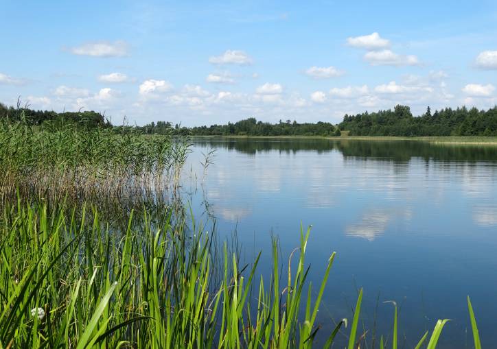Psuja. Landscapes 