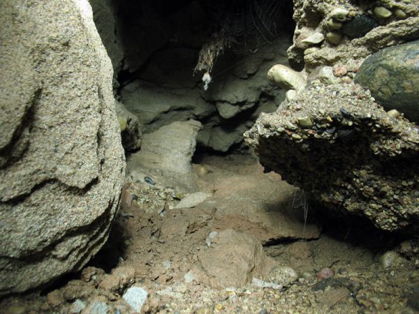 Sachnavičy.  Solutional cave