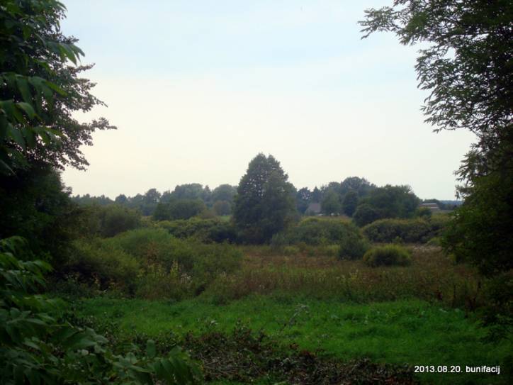  - Краявіды . 