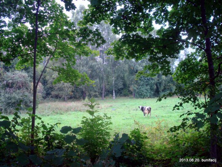 Забор'е. Краявіды 