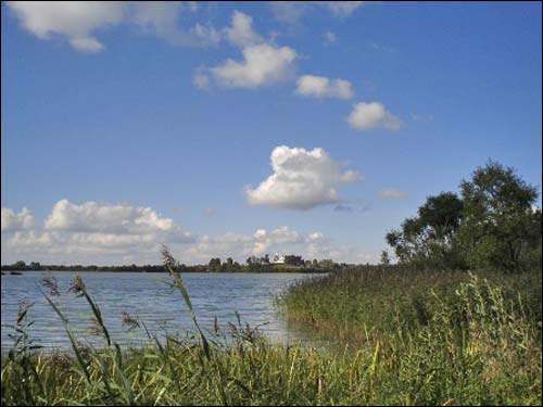 Zalesie (Dwór). Krajobrazy 