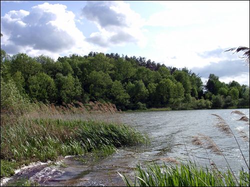 Zalesie (Dwór). Zespół dworsko-parkowy Molle