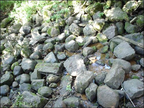 Залессе (Двор). Сядзібна-паркавы ансамбль Мольляў