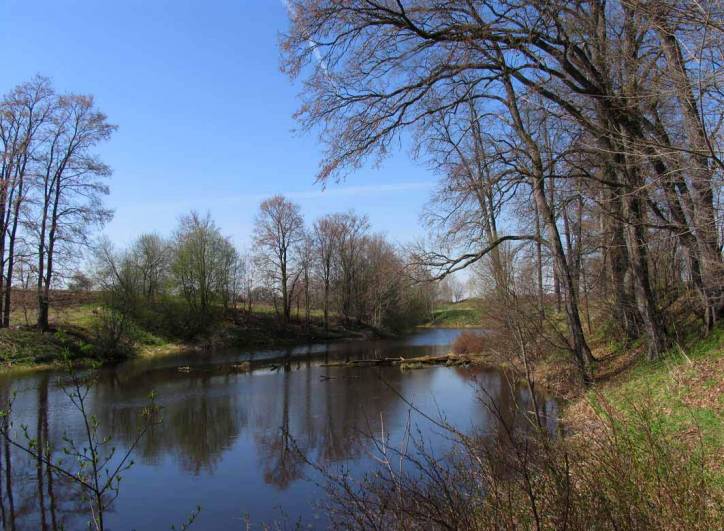  - Manor . The pond