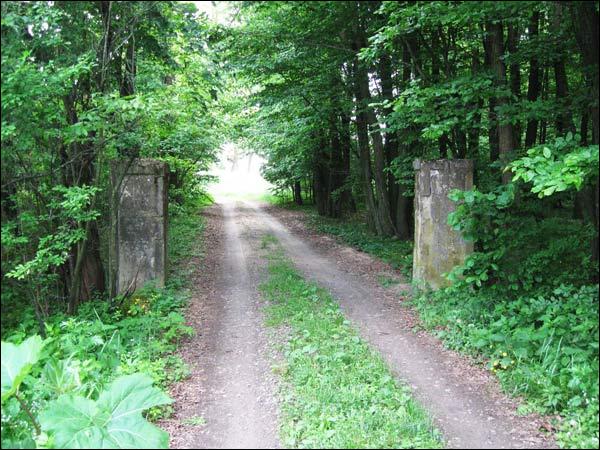 Julina (Šaški). Manor park 