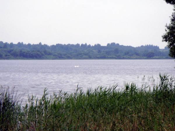 Zajkava. Landscapes 