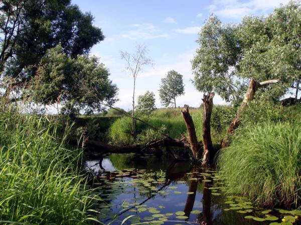 Zajkava. Landscapes 