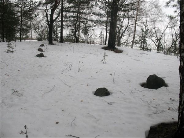  -  . 21.03.2010
