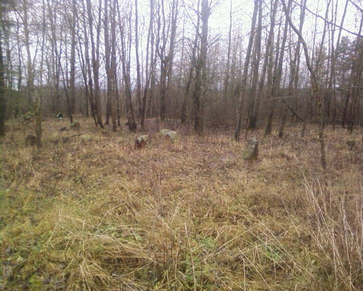  - Cmentarz żydowski. 