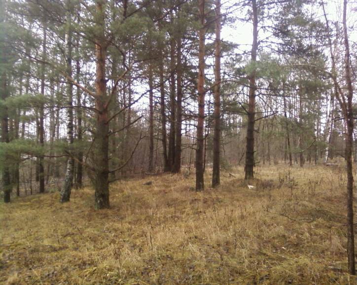  - Cmentarz żydowski. 