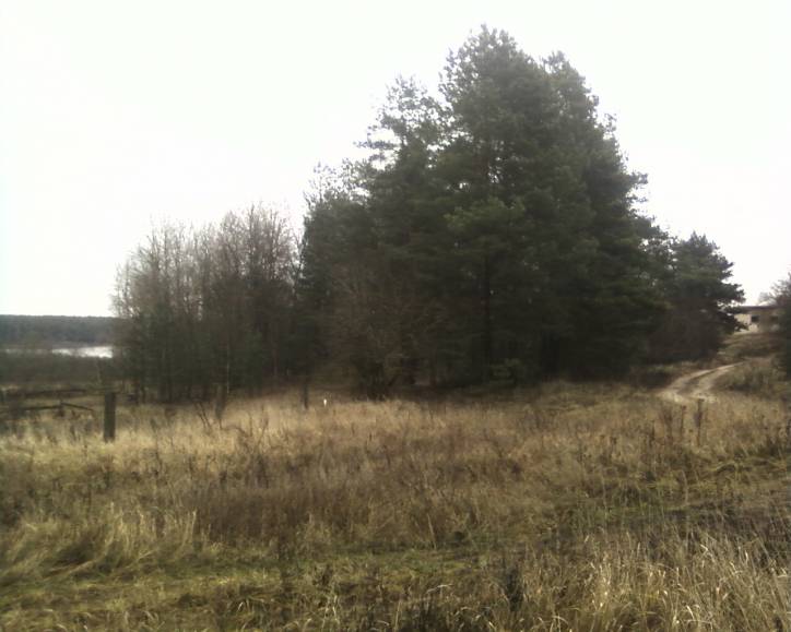  - Cmentarz żydowski. 