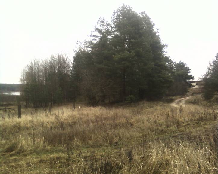  - Cmentarz żydowski. 