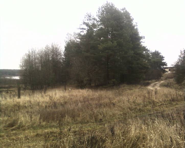  - Cmentarz żydowski. 