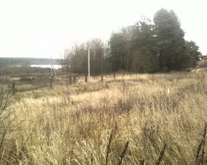  - Cmentarz żydowski. 