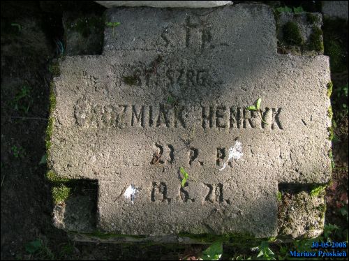  - Кладбище польское военное времен войны 1920 г.. 